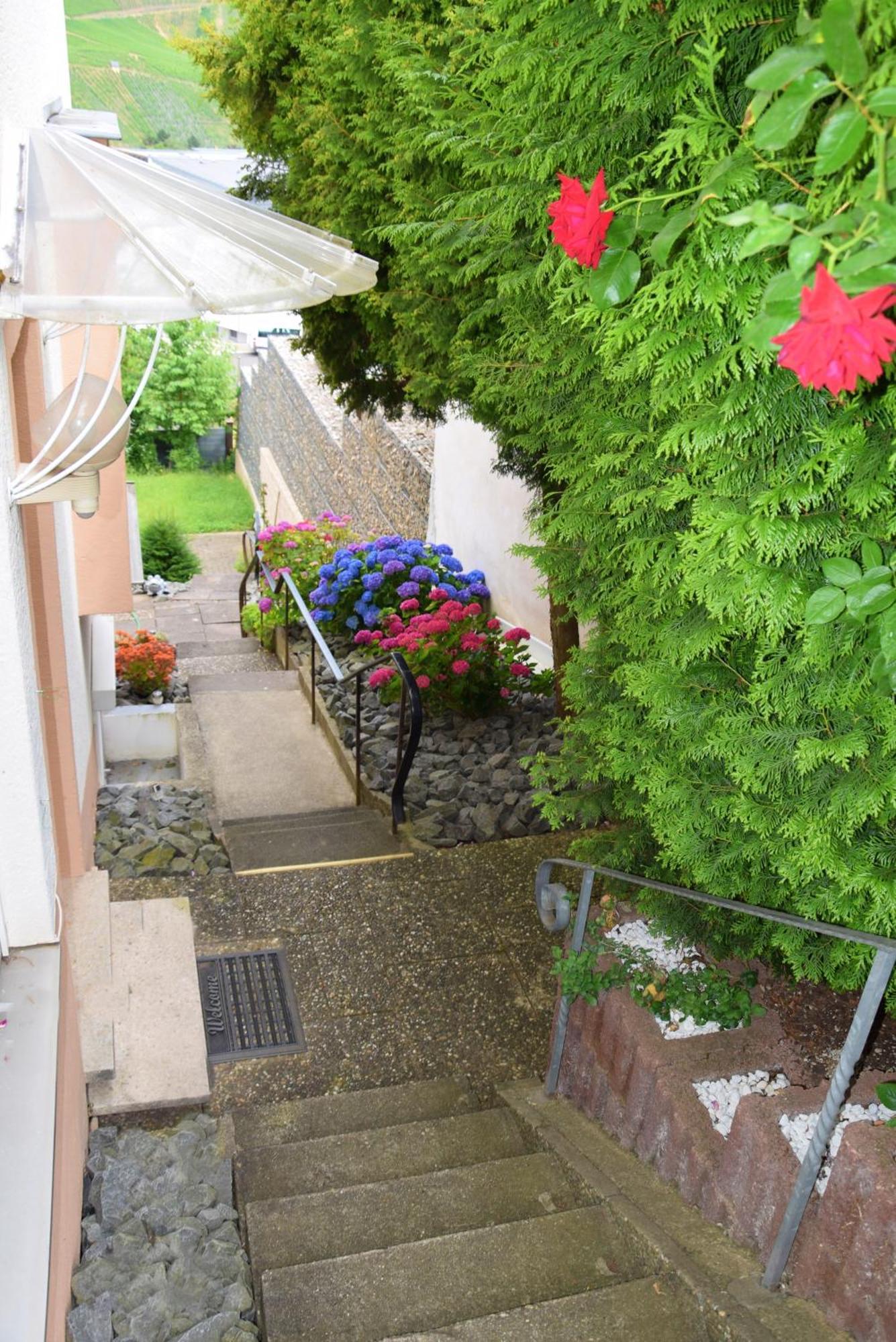 Apartment Haus Constanze *